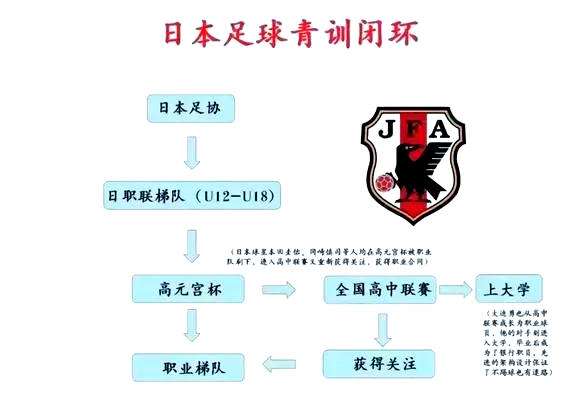 乐竞体育平台-关于新版世俱杯的举办将推动足球青训体系的建设与完善的信息