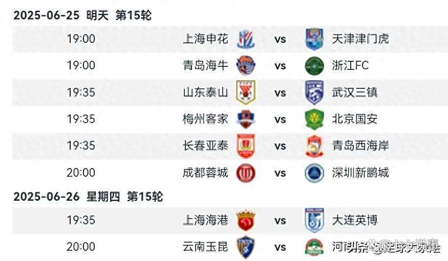 中超半程积分：国安申花竞争白热化5队挣扎保级的简单介绍